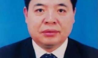 黑龙江省交通违章查询 黑龙江省交通违章查询